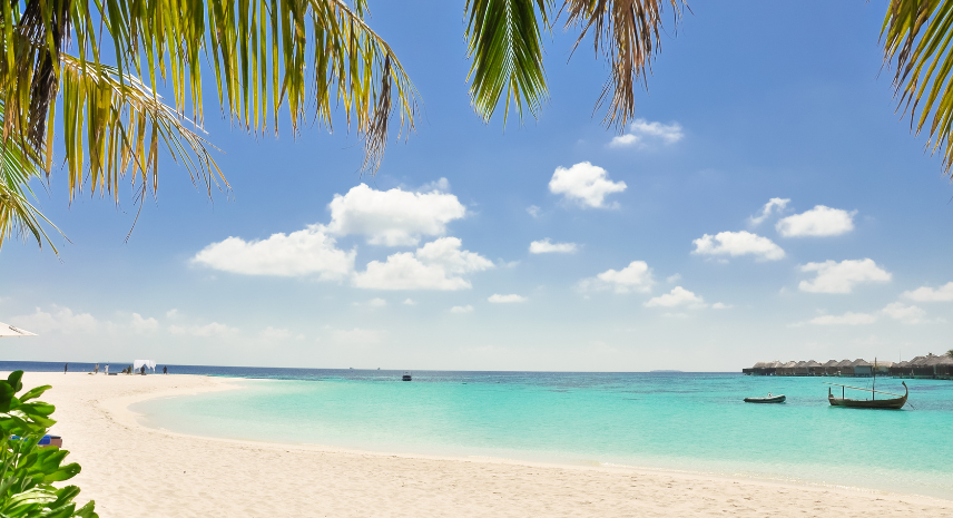 8. Chidiya Tapu – The Birdwatcher's Paradise